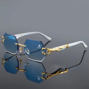 VS60 DLCB Classic Design Unisex Polarized Glasses